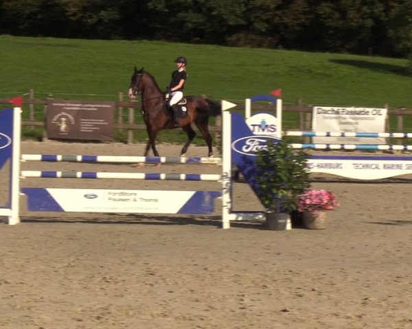 Reitturnier Loop/ Looperholz 2023