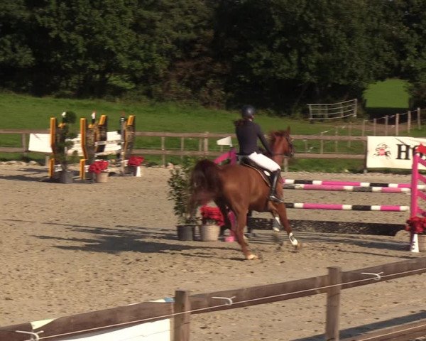 Reitturnier Loop/ Looperholz 2023