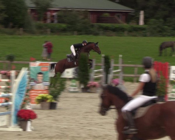Reitturnier Loop/ Looperholz 2023