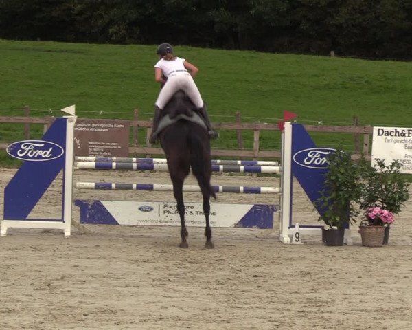 Reitturnier Loop/ Looperholz 2023