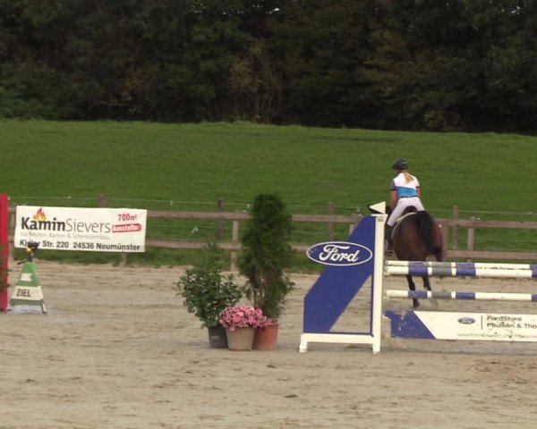 Reitturnier Loop/ Looperholz 2023