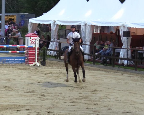 Reitturnier Albersloh 2023