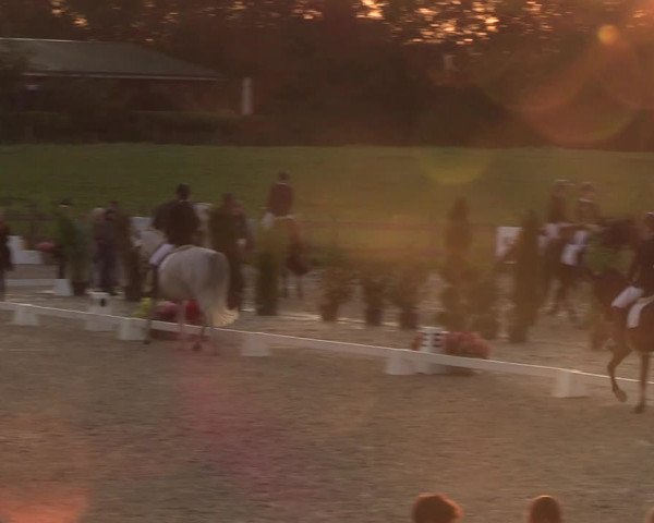 Reitturnier Loop/ Looperholz 2023