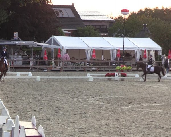 Reitturnier Loop/ Looperholz 2023