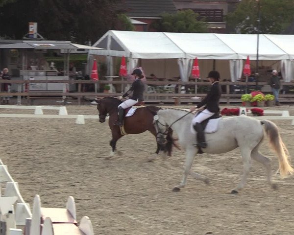 Reitturnier Loop/ Looperholz 2023