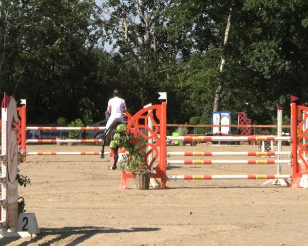 Reitturnier Scharnebeck 2023