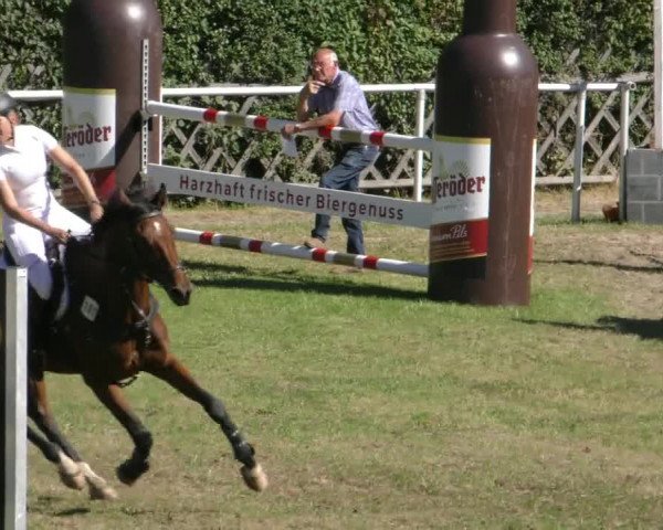 Reitturnier Wernigerode 2023