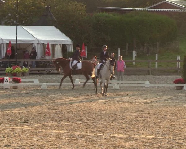 Reitturnier Loop/ Looperholz 2023