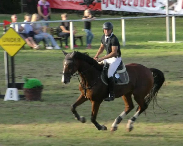 Reitturnier Wernigerode 2023