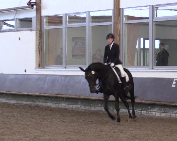 Reitturnier Albersloh 2023