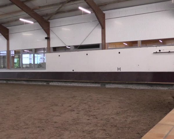 Reitturnier Albersloh 2023