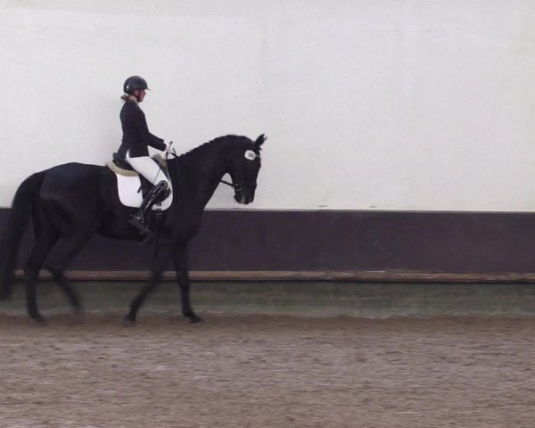 Reitturnier Albersloh 2023