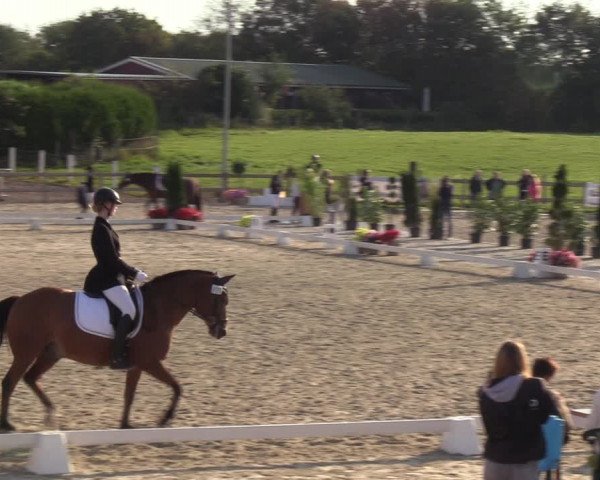 Reitturnier Loop/ Looperholz 2023