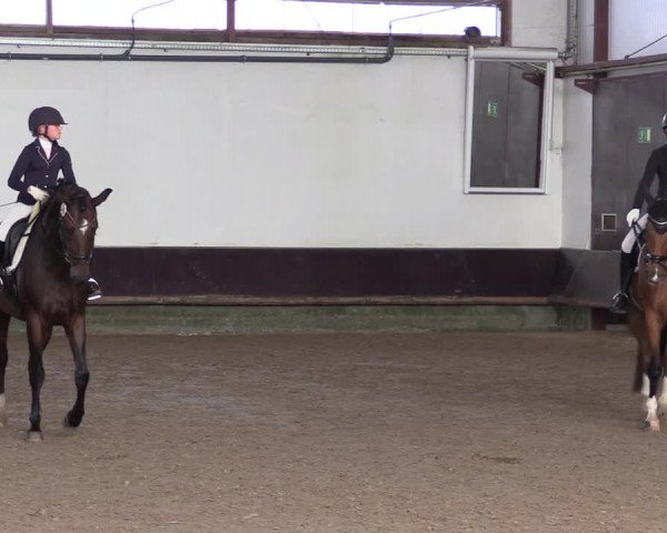 Reitturnier Albersloh 2023
