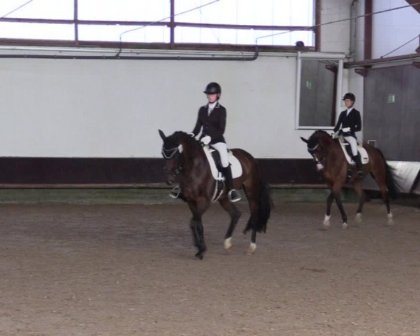 Reitturnier Albersloh 2023