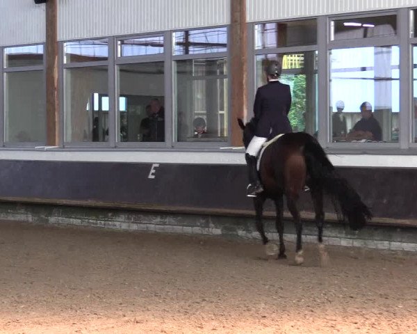 Reitturnier Albersloh 2023