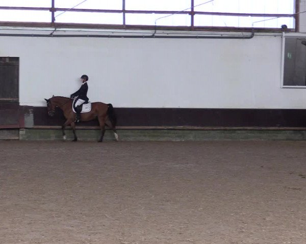 Reitturnier Albersloh 2023