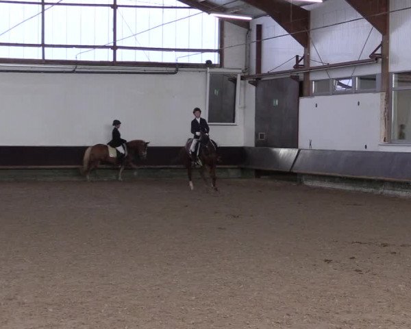 Reitturnier Albersloh 2023