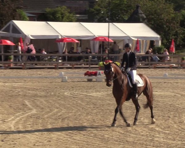 Reitturnier Loop/ Looperholz 2023