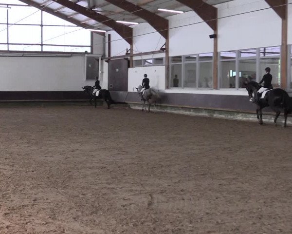 Reitturnier Albersloh 2023