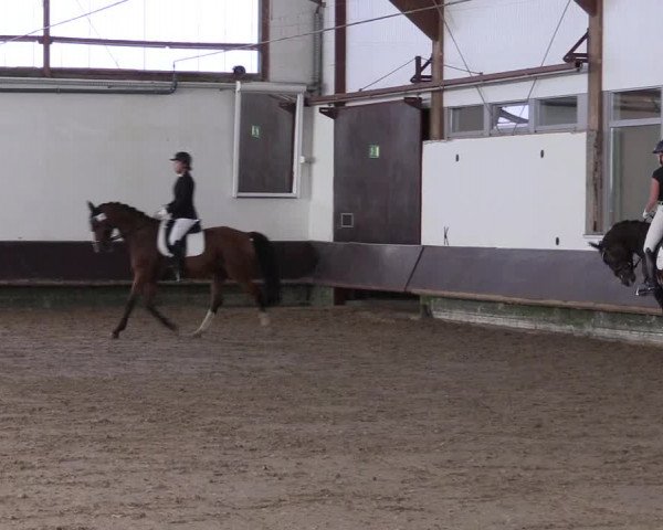 Reitturnier Albersloh 2023