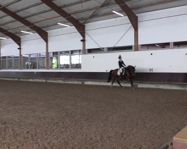 Reitturnier Albersloh 2023