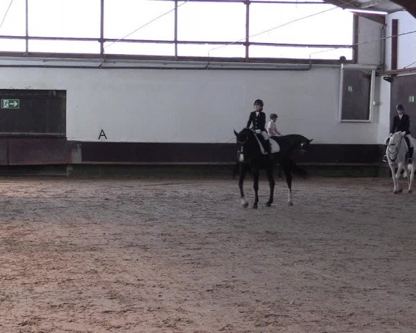 Reitturnier Albersloh 2023