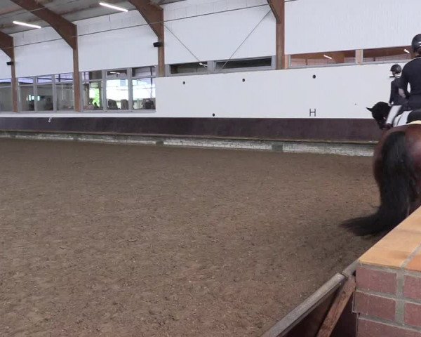 Reitturnier Albersloh 2023