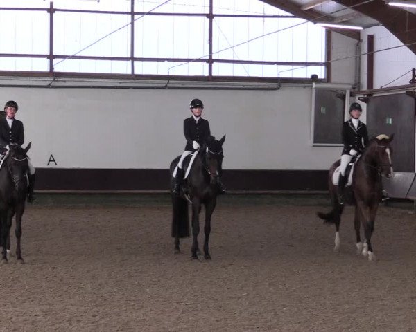 Reitturnier Albersloh 2023