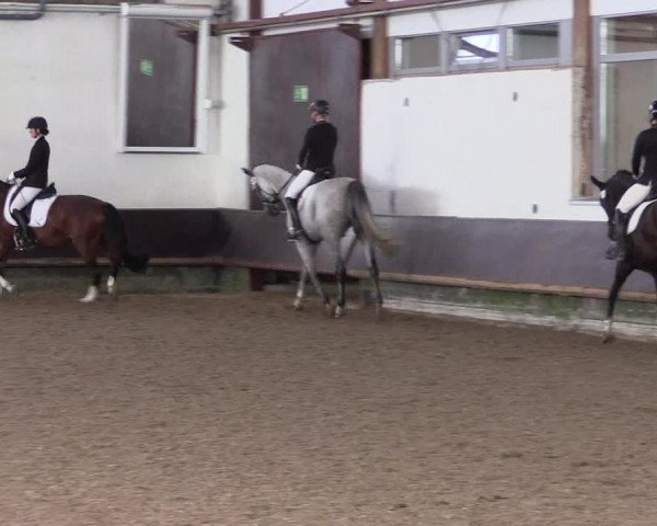 Reitturnier Albersloh 2023