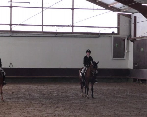 Reitturnier Albersloh 2023