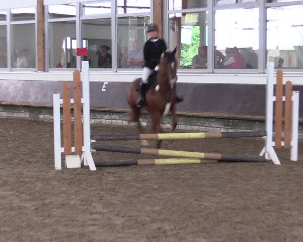 Reitturnier Albersloh 2023