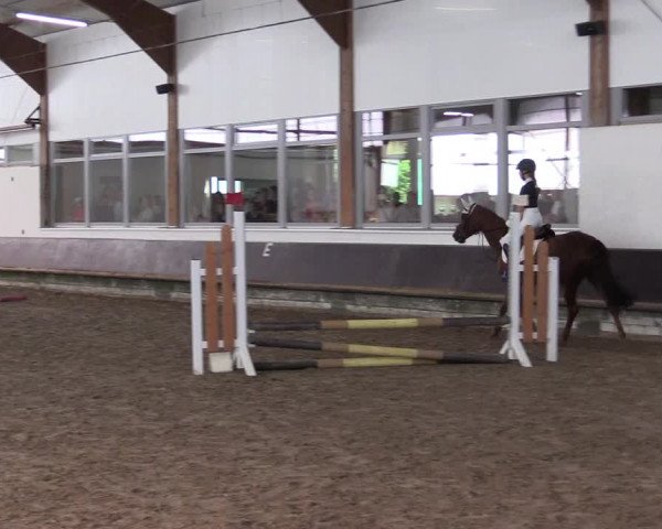 Reitturnier Albersloh 2023