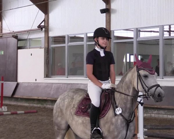Reitturnier Albersloh 2023
