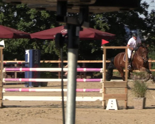 Reitturnier Scharnebeck 2023