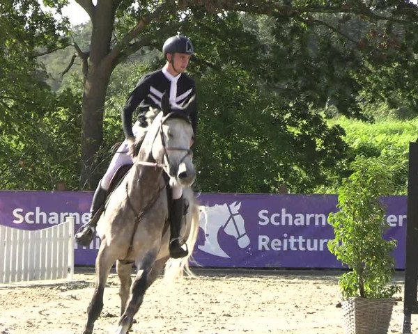 Reitturnier Scharnebeck 2023