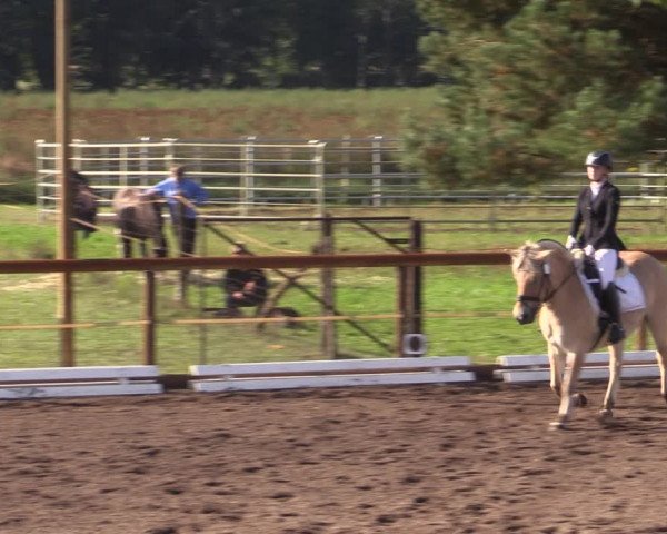 Reitturnier Lübbenau / Groß Klessow 2023