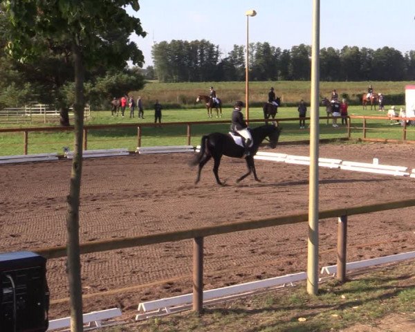 Reitturnier Lübbenau / Groß Klessow 2023