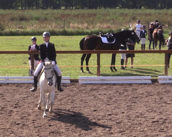 Reitturnier Lübbenau / Groß Klessow 2023