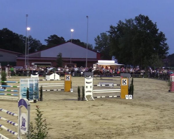 Reitturnier Albersloh 2023