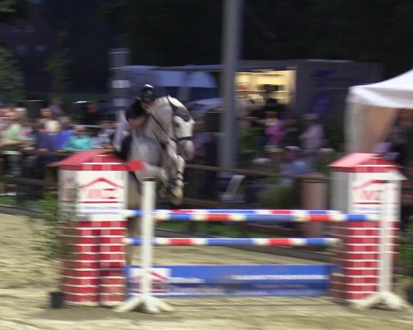 Reitturnier Albersloh 2023