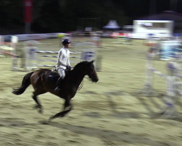 Reitturnier Albersloh 2023