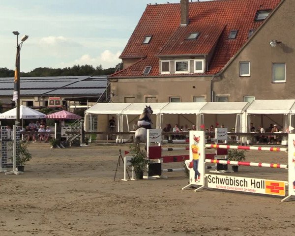 Reitturnier Buchenhof-Ibbenbüren 2023