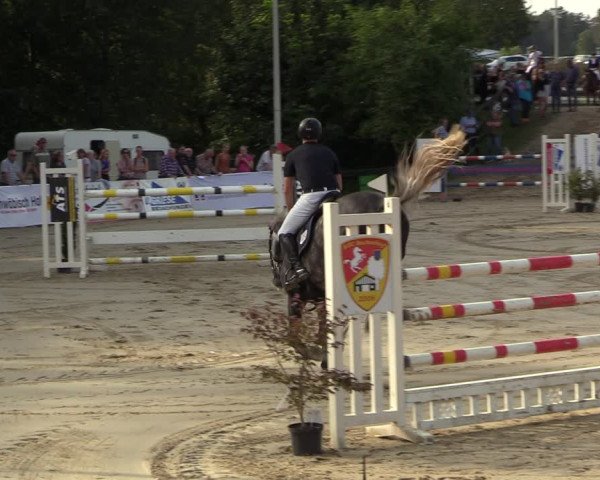 Reitturnier Buchenhof-Ibbenbüren 2023