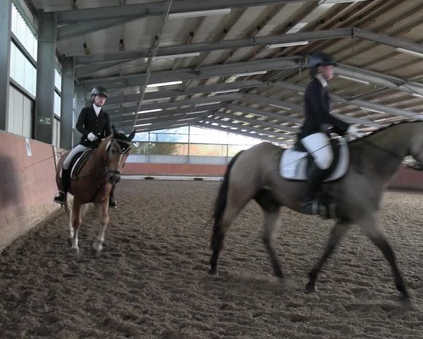 Reitturnier Marl, Hof Ostgathe 2023