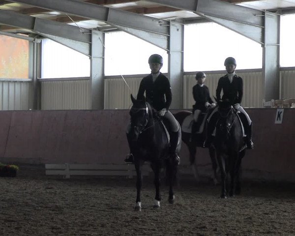 Reitturnier Marl, Hof Ostgathe 2023