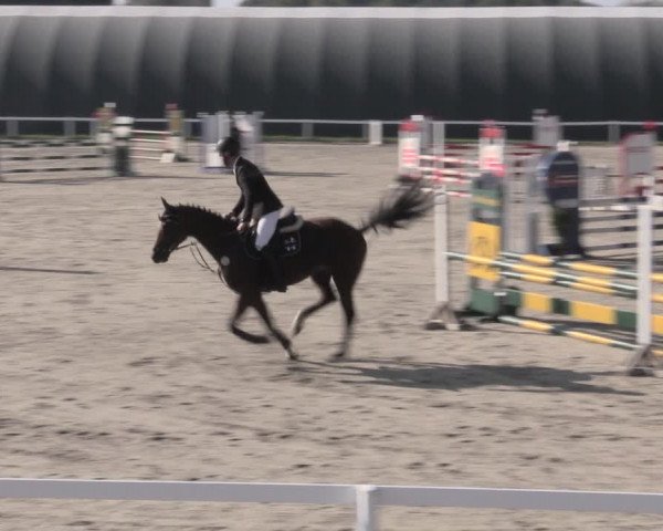 Reitturnier Bad Schmiedeberg 2023