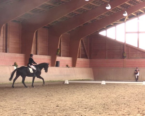 Reitturnier Dortmund-Barop 2021