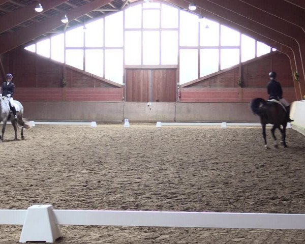 Reitturnier Dortmund-Barop 2021