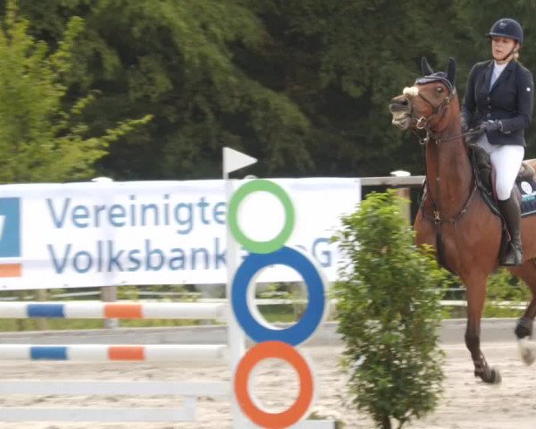 Reitturnier Waldenbuch-Hasenhof 2023
